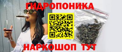 шишки Уссурийск