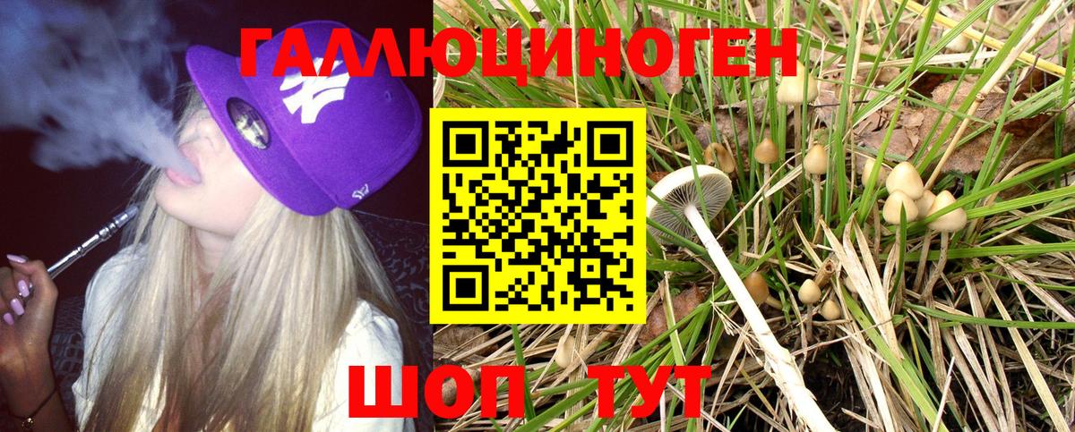 Псилоцибиновые грибы мицелий  Галлюциногенные грибы MAGIC MUSHROOMS  Вход с VPN  Люберцы 