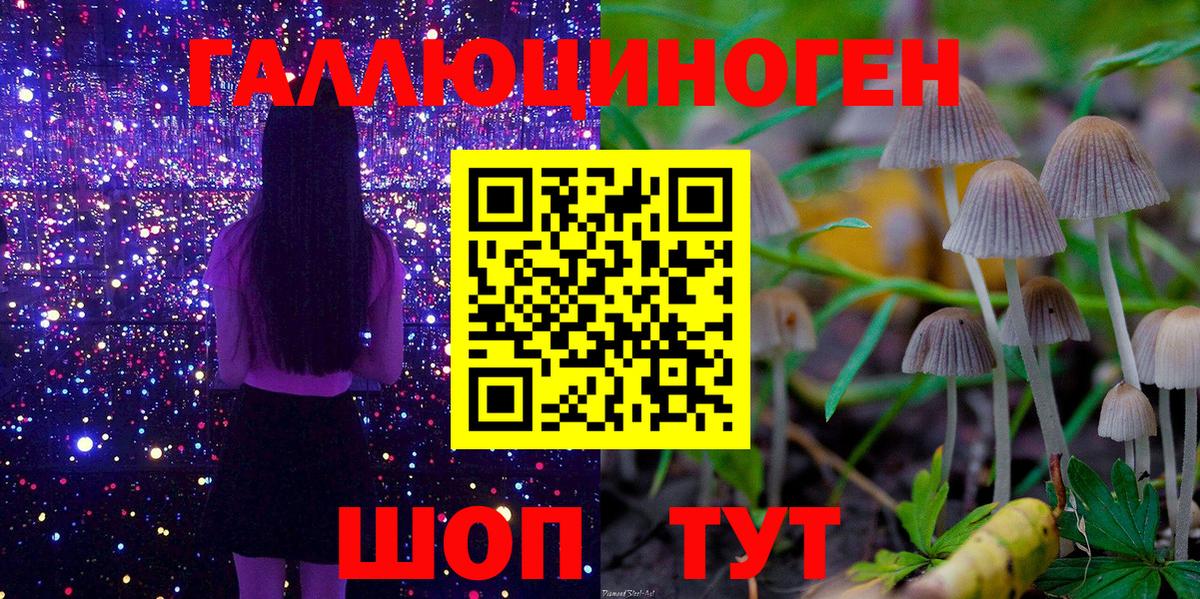 Галлюциногенные грибы Cubensis Люберцы